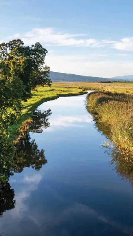 Climate and nature are fundamental to our business and integrated in everything we do.
